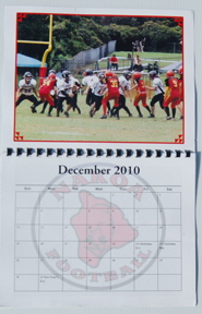 Internal Sample Calendar